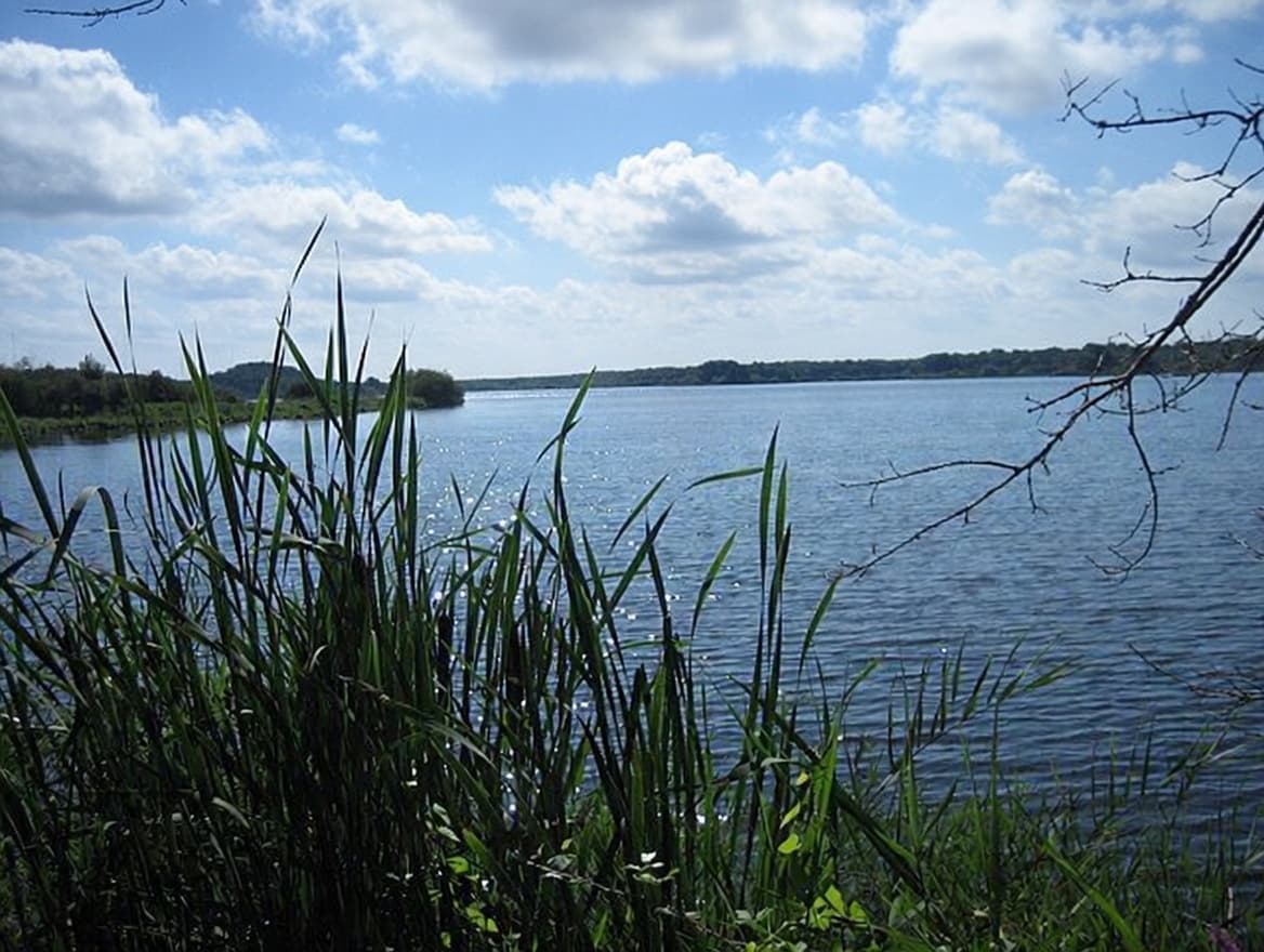 Parc naturel régional de la Brenne